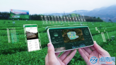 <b>是鞭策处所经济成长的主要引擎</b>